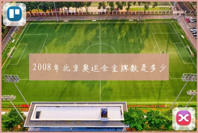 2008年北京奥运会金牌数是多少
