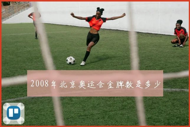 2008年北京奥运会金牌数是多少